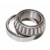 Scheerer 10865-TBV Cylindrical Roller Bearings