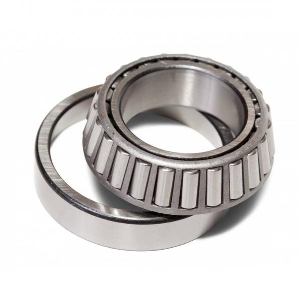 Scheerer 10865-TBV Cylindrical Roller Bearings #1 image